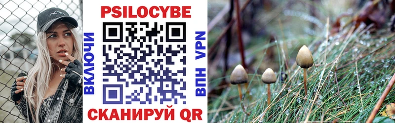 ссылка на мегу как зайти  Лукоянов  Псилоцибиновые грибы MAGIC MUSHROOMS  купить наркотик 